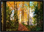 Park, Drzewa, Staw, Jesień, Ścieżka