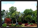 Park, Drzewa, Jesienne, Niebo