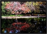 Jesienny, Park, Staw