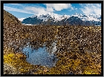 Islandia, Park Narodowy Vatnajökull, Góry, Drzewa, Jezioro