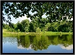 Park, Drzewa, Trawa, Jezioro, Odbicie