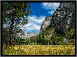 Park Narodowy Kings Canyon, Kalifornia, Góry
