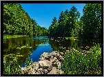 Park, Staw, Kamienie, Drzewa