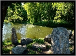 Park, Staw, Kamienie, Drzewa