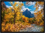 Park Narodowy Zion, Góry, Góra Watchman, Rzeka Virgin River, Kamienie, Drzewa, Jesień, Chmury, Stan Utah, Stany Zjednoczone