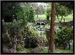 Park, Staw, Kamienny, Mostek