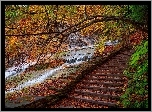 Park, Schody, Kaskada, Jesień