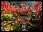 Park, Kolorowe, Drzewa, Staw, Kioto, Japonia
