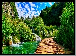 Chorwacja, Park Narodowy Jezior Plitwickich, Las, Rzeka, Pomost
