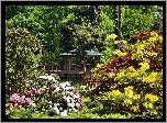 Park, Altana, Kolorowe, Rododendrony