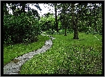 Krajobraz, Park, Dróżka