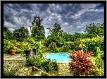 Park, Basen, Drzewa, Krzewy, Kwiaty