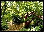 Park, Drzewa, Krzewy, Mostek