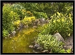 Park, Rzeczka, Kwiaty, Krzewy, Kamienie