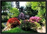Park, Drzewa, Kwitnące, Kolorowe, Krzewy, Alejki