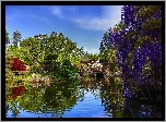 Park, Staw, Mostek, Krzewy, Drzewa