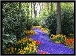 Park, Kwiaty