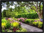 Park, Ogród, Drzewa, Kwiaty, Ścieżka