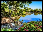 Park, Staw, Drzewa, Kwiaty, Wiosna
