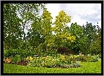 Park, Drzewa, Klomby, Kwiaty, Ławka