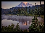 Park Narodowy Mount Rainier, Jezioro Reflection Lakes, Góra, Szczyt Mount Rainier, Stan Waszyngton, Stany Zjednoczone, Las, Drzewa, Świerki, Mgła
