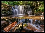 Walia, Park Narodowy Brecon Beacons, Wodospad, Kamienie, Las