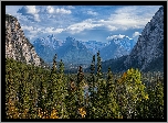 Park Narodowy Banff, Góry Skaliste, Drzewa, Lasy, Alberta, Kanada