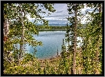Stany Zjednoczone, Park Narodowy Yellowstone, Jeziora, Lasy, Krajobraz