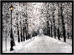 Park, Alejka, Latarnie, Śnieg