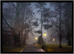 Park, Aleja, Wieczór, Latarnie, Mgła