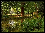 Park, Rzeczka, Fontanna, Lato, Drzewa