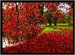Park, Rzeka, Alejka, Ławka, Liście, Jesień