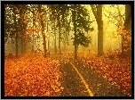 Park, Mgła, Alejka, Liście, Jesień
