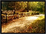 Park, Aleja, Ławeczka, Opadłe, Liście, Muchomór