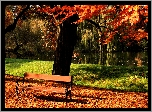 Park, Rzeka, Ławka, Liście, Jesień