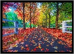 Park, Drzewa, Droga, Jesień, Liście, Ogrodzenie