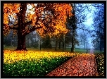 Park, Alejka, Drzewa, Liście, Jesień