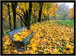 Park, Drzewa, Liście, Ławka