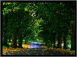 Park, Alejki, Drzewa, Ławki, Liście, Jesień