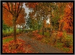 Park, Rzeka, Mostek, Aleja, Liście, Jesień