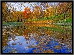Park, Drzewa, Staw, Liście, Jesień