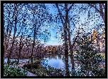 Park, Rzeka, Most, Alejki