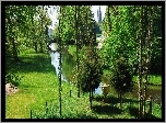 Park, Rzeka, Most, Alejki