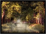 Park, Drzewa, Rzeka, Most, Mgła