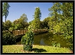 Park, Rzeka, Most, Drzewa