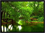 Park, Rzeka, Most, Zieleń