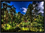 Park, Staw, Mostek,  Anglia