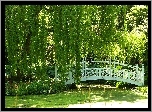 Park, Staw, Mostek, Anglia