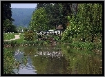 Park, Staw, Mostek, Wierzba