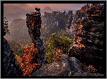 Formacja skalna, Bastei, Skały, Góry, Drzewa, Park Narodowy Saskiej Szwajcarii, Niemcy
